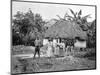 Negro Hut, Jamaica, C1905-Adolphe & Son Duperly-Mounted Premium Giclee Print