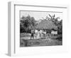 Negro Hut, Jamaica, C1905-Adolphe & Son Duperly-Framed Giclee Print