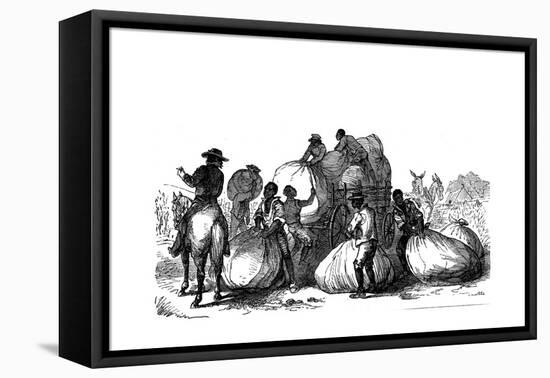 Negro Labour Loading Sacks of Cotton on Cart, Southern States of Usa-null-Framed Stretched Canvas