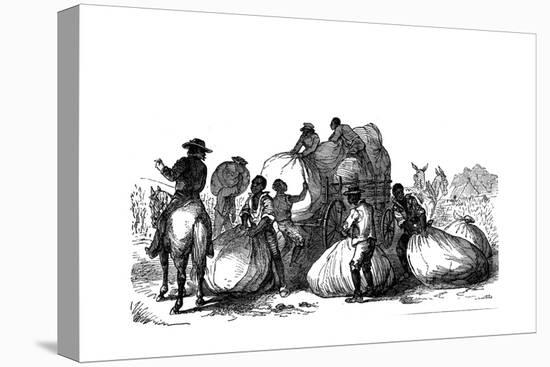 Negro Labour Loading Sacks of Cotton on Cart, Southern States of Usa-null-Stretched Canvas