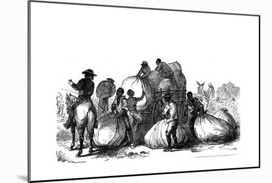 Negro Labour Loading Sacks of Cotton on Cart, Southern States of Usa-null-Mounted Giclee Print