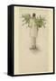 Negro Man Carrying Plantains on Pole-null-Framed Stretched Canvas