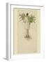 Negro Man Carrying Plantains on Pole-null-Framed Art Print