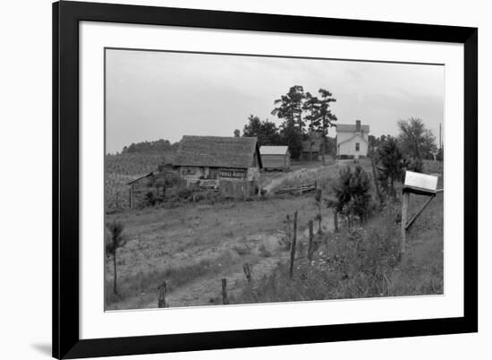 Negro Sharecropper Farm-Dorothea Lange-Framed Art Print