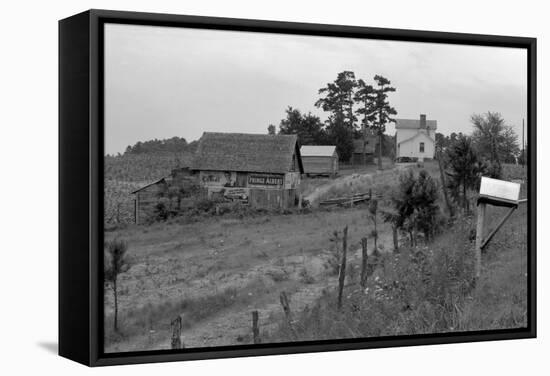 Negro Sharecropper Farm-Dorothea Lange-Framed Stretched Canvas