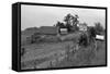 Negro Sharecropper Farm-Dorothea Lange-Framed Stretched Canvas