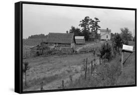 Negro Sharecropper Farm-Dorothea Lange-Framed Stretched Canvas
