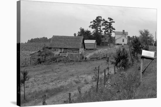 Negro Sharecropper Farm-Dorothea Lange-Stretched Canvas