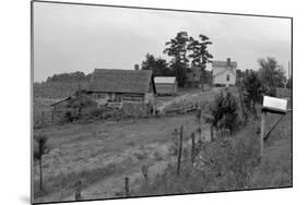 Negro Sharecropper Farm-Dorothea Lange-Mounted Art Print