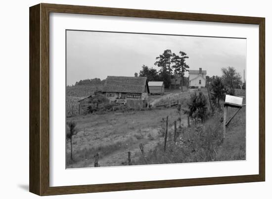 Negro Sharecropper Farm-Dorothea Lange-Framed Art Print