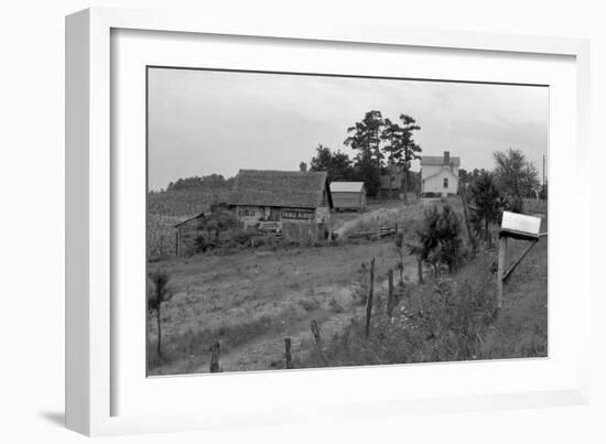 Negro Sharecropper Farm-Dorothea Lange-Framed Art Print