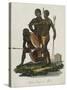 Negroes, Aborigines of Africa Color Engraving-null-Stretched Canvas