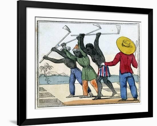 Negroes Holing the Cane-Field, 1826-null-Framed Giclee Print