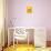 Negroni Sunshine Yellow-Alice Straker-Photographic Print displayed on a wall