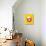 Negroni Sunshine Yellow-Alice Straker-Photographic Print displayed on a wall