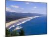 Nehalem Bay State Park Beach, Astoria, Oregon, United States of America, North America-Michael DeFreitas-Mounted Photographic Print