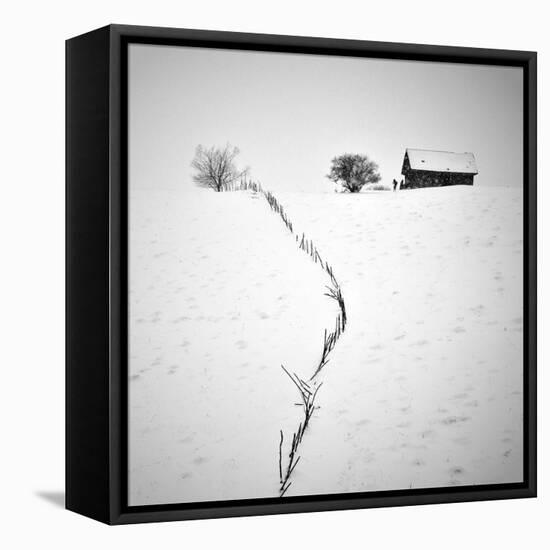 Neighbors-Ionut Harag-Framed Stretched Canvas