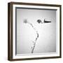 Neighbors-Ionut Harag-Framed Photographic Print