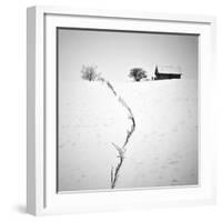 Neighbors-Ionut Harag-Framed Photographic Print