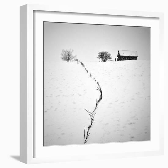 Neighbors-Ionut Harag-Framed Photographic Print