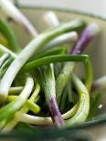 Spring Onions in a Dish-Neil Corder-Photographic Print