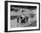 Neil Corner in a Bugatti at Oulton Park, Cheshire, June 1968-null-Framed Photographic Print