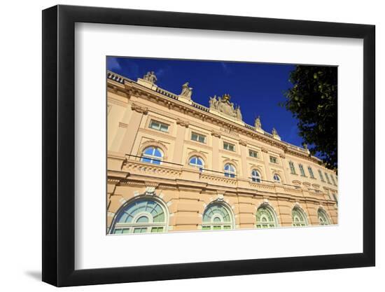 Premium Photographic Print, , large