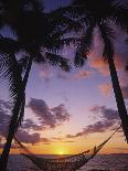 Hammock on Beach, Danarau, Viti Levu, Fiji-Neil Farrin-Photographic Print