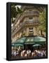 Essential Black