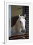 Gramercy White