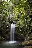 A Small Waterfall in El Yunque National Forest, Puerto Rico-Neil Losin-Photographic Print