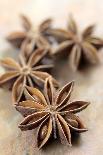 Star Anise-Neil Overy-Framed Photographic Print