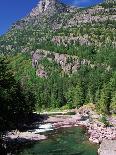 Reynolds Mountain in Summer-Neil Rabinowitz-Photographic Print