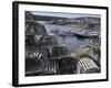Neil's Harbour, Cape Breton, Nova Scotia, Canada, North America-Ethel Davies-Framed Photographic Print