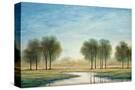 Stretched Canvas
