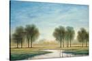 Stretched Canvas