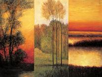 Reflections of Autumn II-Neil Thomas-Art Print