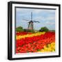Black Frame