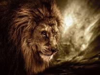 Lion Against Stormy Sky-NejroN Photo-Photographic Print