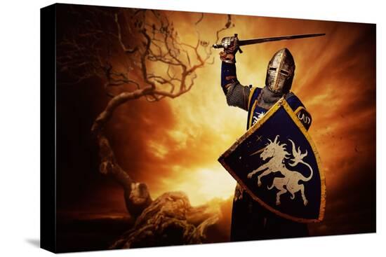 Stretched Canvas Print, , large