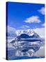 Neko Cove, Antarctica, Polar Regions-Michael DeFreitas-Stretched Canvas