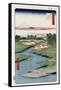 Nekozane at Horikiri', from the Series 'One Hundred Views of Famous Places in Edo'-Utagawa Hiroshige-Framed Stretched Canvas