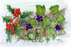 Log of Ivy, Holly and Hazelnuts-Nell Hill-Giclee Print