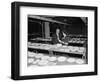 Nellie Tayloe Ross and Edward Bruce inspect designs for new Jefferson nickel, 1938-Harris & Ewing-Framed Photographic Print