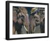 Nellies-Michael Jackson-Framed Giclee Print