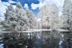 Infrared Landscape with White Trees and Water-Nelson Charette-Laminated Photographic Print