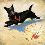 "Dog and Firecrackers,"July 1, 1936-Nelson Grofe-Giclee Print