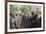 Nelson Mandela and Winnie Mandela-Greg English-Framed Photographic Print