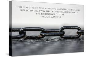 Nelson Mandela Freedom Quote-null-Stretched Canvas