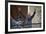 Nelson Mandela in France in 1990-Christian Lutz-Framed Photographic Print